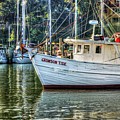Crimson Tide in the Sunshine